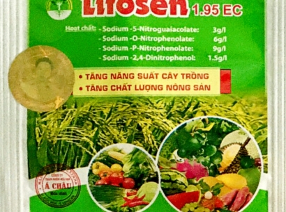 CÂN BẰNG SINH TRƯỞNG VỚI – LITOSEN 1.9EC