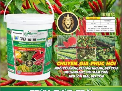 XUẤT KHẨU TRÁI CÂY ĐANG BỚT PHỤ THUỘC THỊ TRƯỜNG TRUNG QUỐC