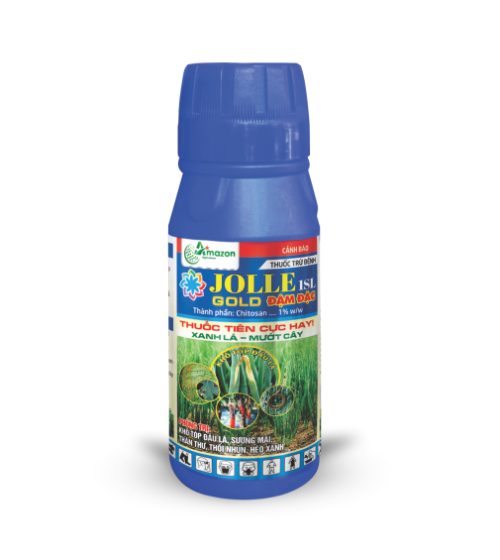 JOLLE 1SL - GOLD ĐẬM ĐẶC